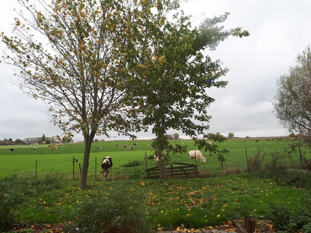 B&B De Linde Wijtschate ภายนอก รูปภาพ
